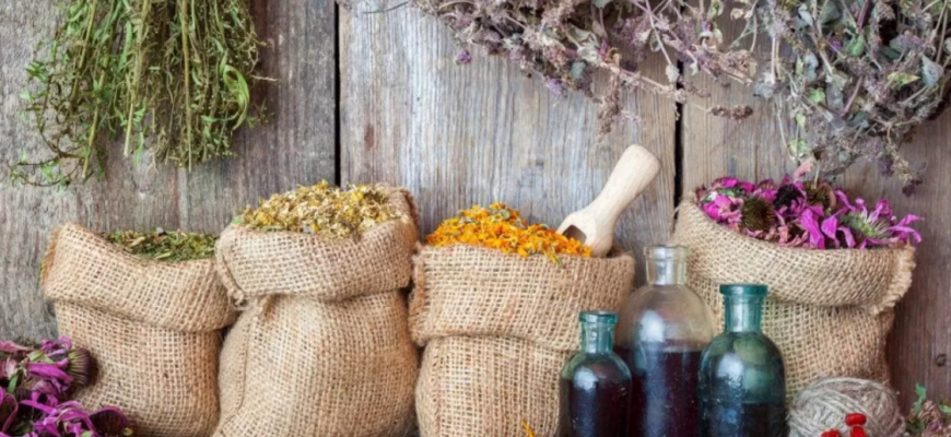 condimente si plante medicinale