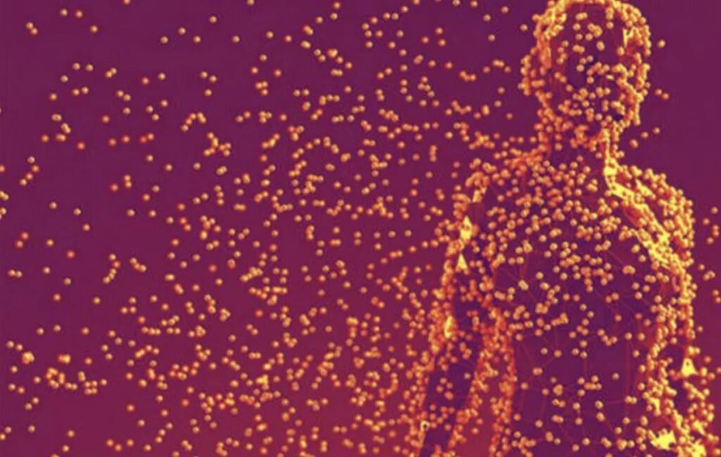 Un model matematic misterios a fost descoperit în celulele corpului uman