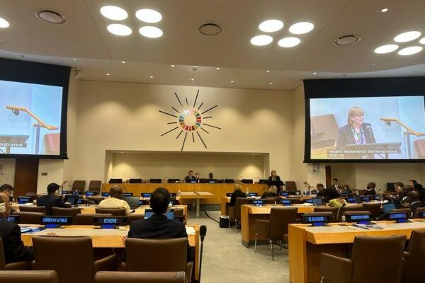 ministra sanatatii a tinut un discurs