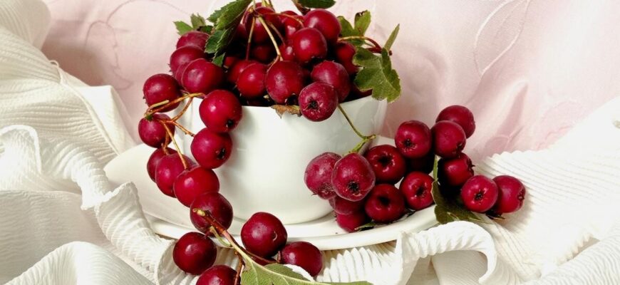 paducelul remediu natural in bolile cardiovasculare