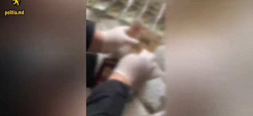 photo 2023 09 14 18 50 38