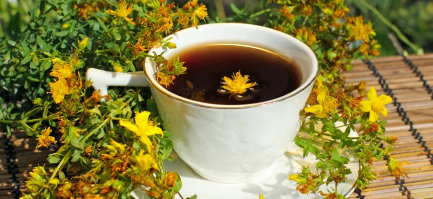 sunatoarea cunoscuta si sub numele de hypericum perforatum