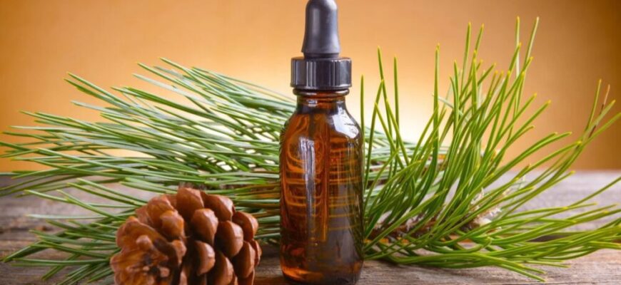 uleiul esential de pin