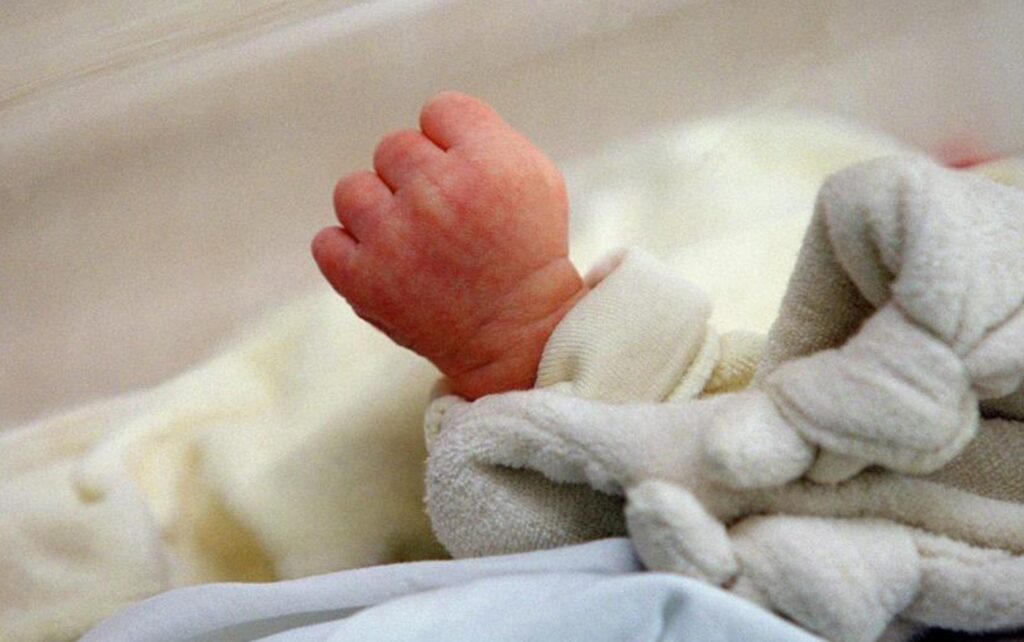 Un câine erou a salvat un bebeluș abandonat într-un sac de gunoi: „A dus sacul cu el până a întâlnit un om” 1 un caine erou a salvat un bebelus abandonat