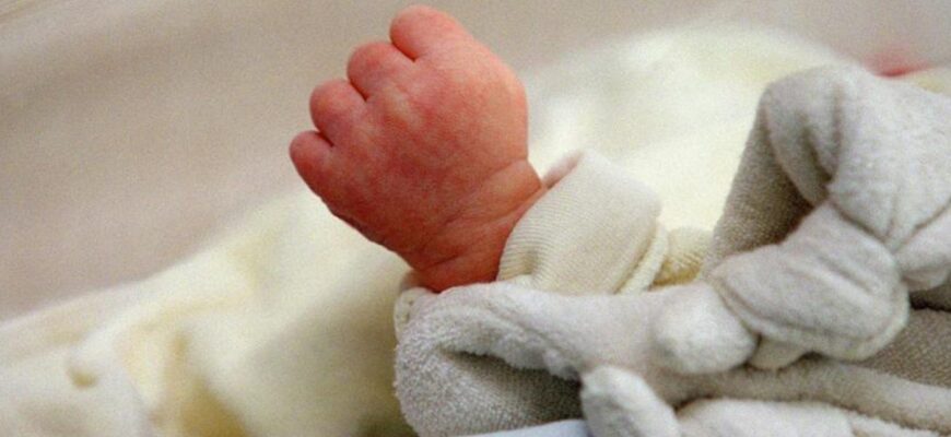 un caine erou a salvat un bebelus abandonat