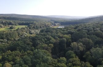 Mesajul Ministerului Mediului în susținerea și aprecierea eforturilor silvicultorilor pentru conservarea pădurilor noastre