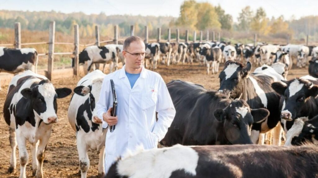 activitatea sanitara veterinara