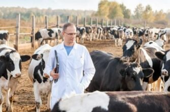 Activitatea sanitară veterinară va fi reglementată de o lege nouă, racordată la standardele UE