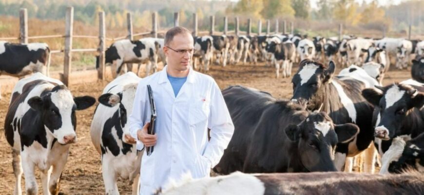 activitatea sanitara veterinara