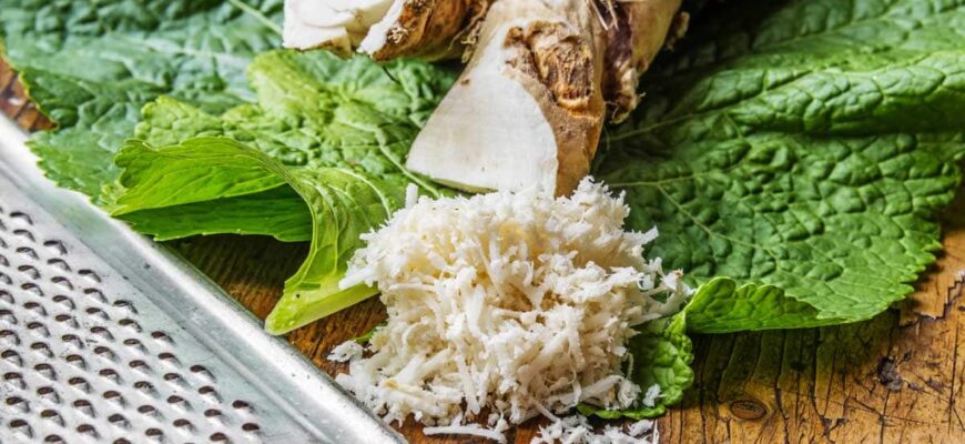 beneficiile si contraindicatiile hreanului