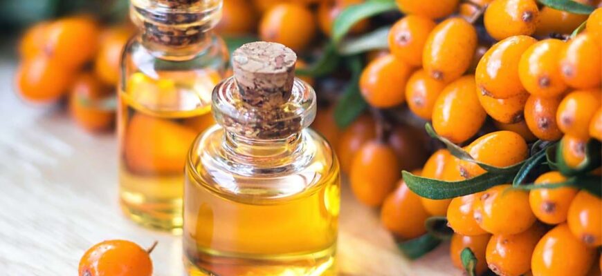 catina si uleiul de catina