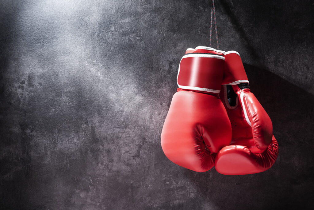 cele mai bune manusi de box