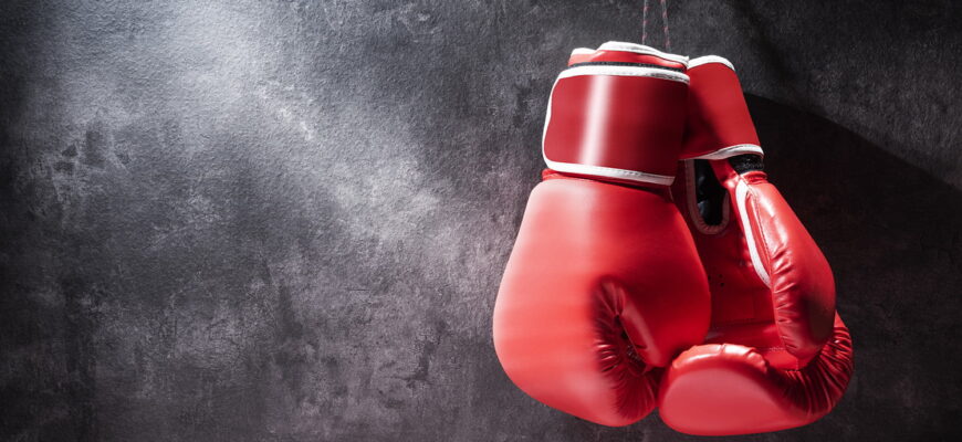 cele mai bune manusi de box