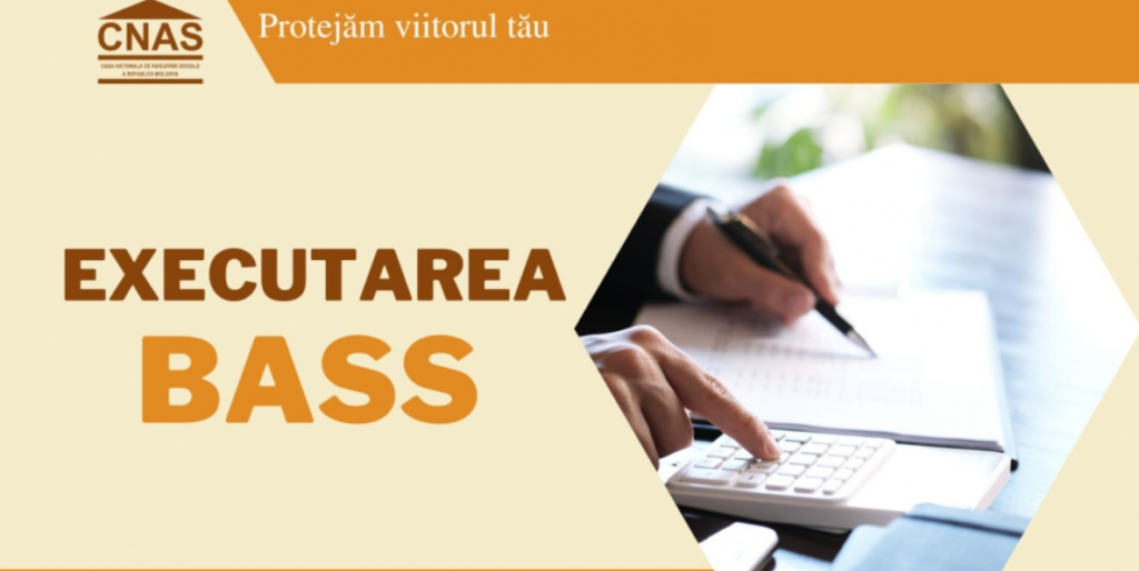 executarea bugetului asigurarilor sociale