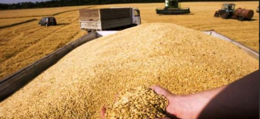 importurile de cereale din ucraina si r. moldova 1