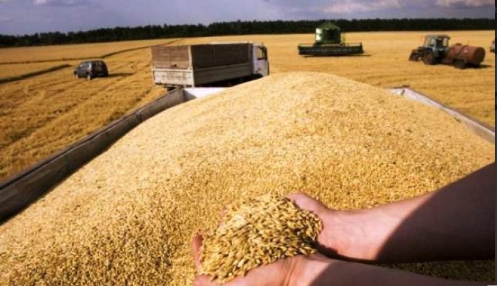 Importurile de cereale din Ucraina şi Republica Moldova se vor face doar pe bază de licenţă în România. Exporturile de grâu ale UE scad