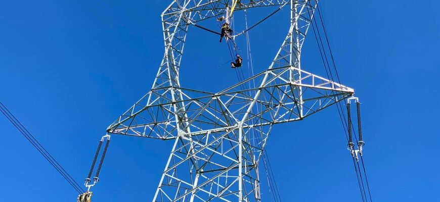 Întârzierea investiţiilor în reţelele electrice ameninţă atingerea obiectivelor climatice – IEA