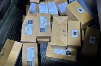 Un lot comercial de piese auto, tăinuit de controlul vamal, depistat la Leușeni