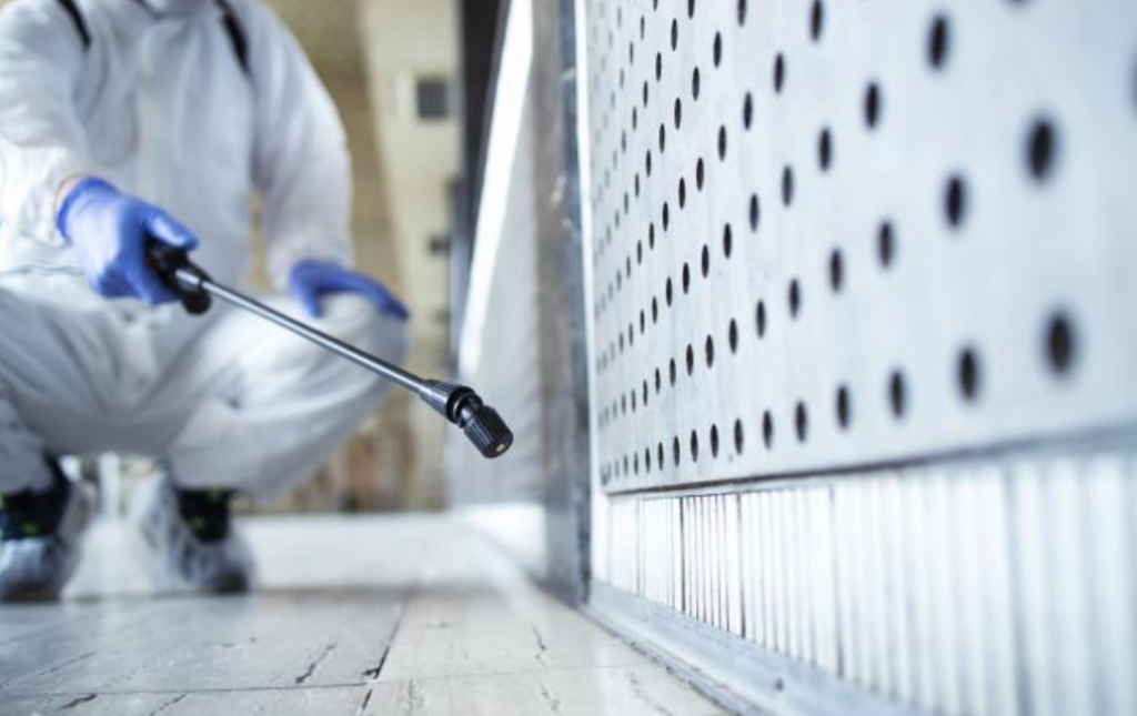 ministrul transporturilor din franta