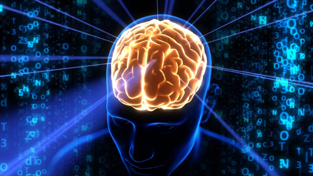 oamenii de stiinta au inregistrat semnale puternice in materia alba a creierului