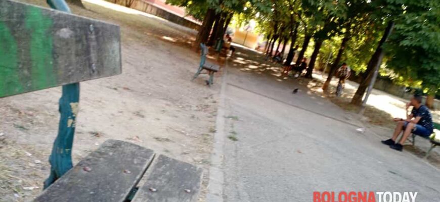 parco aree verdi 2 2