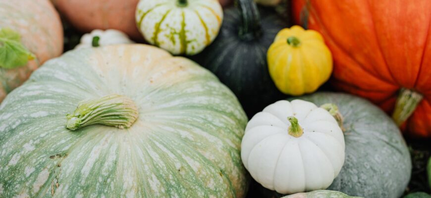 close up of pumpkins