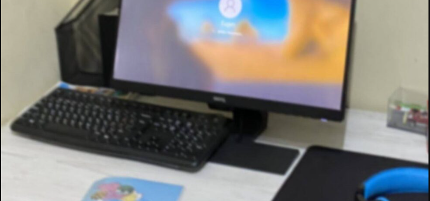 pornografia infantila in vizorul politiei