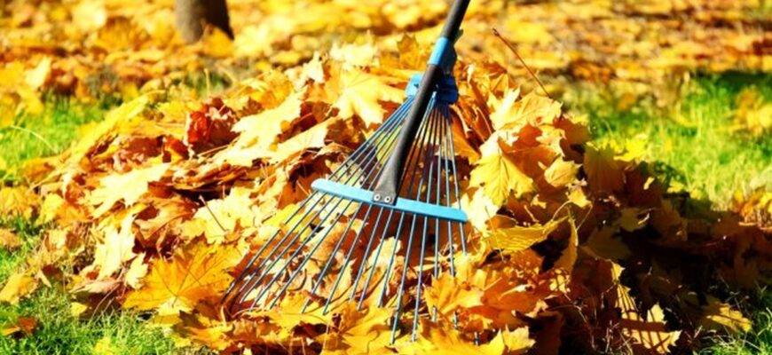 pregatesti pomii fructiferi pentru iarna