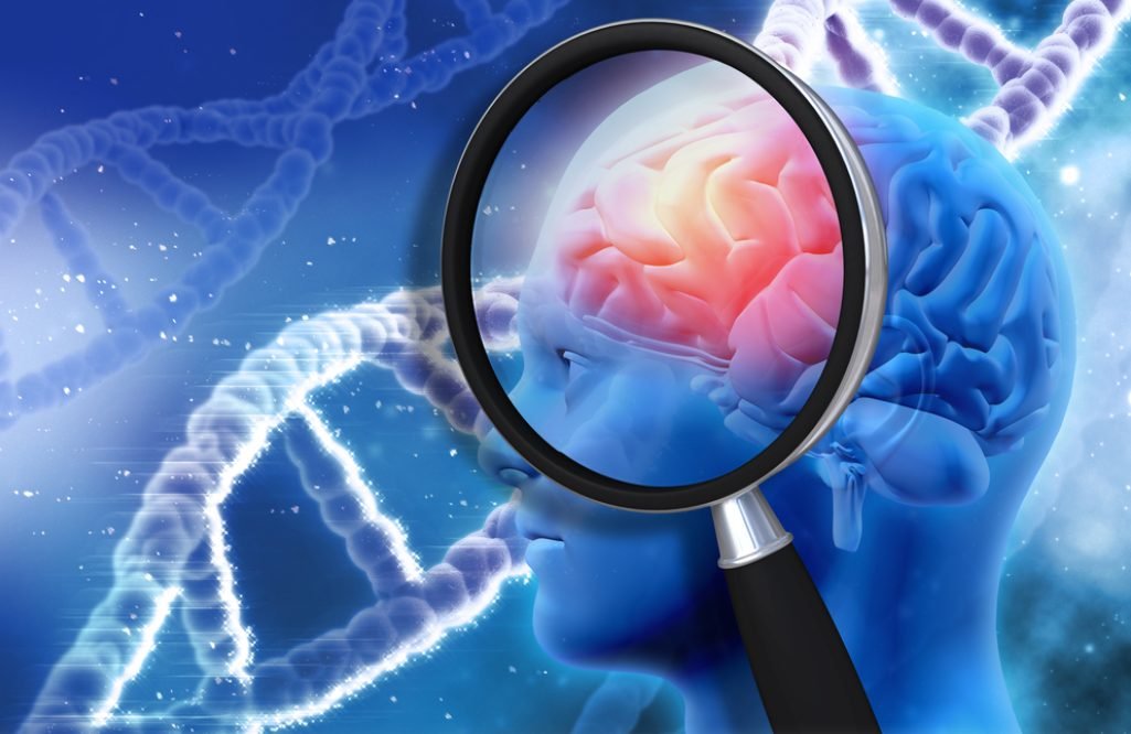 Prevenirea atrofiei cerebrale. Efectele benefice ale combinației de vitamine B și Omega 3