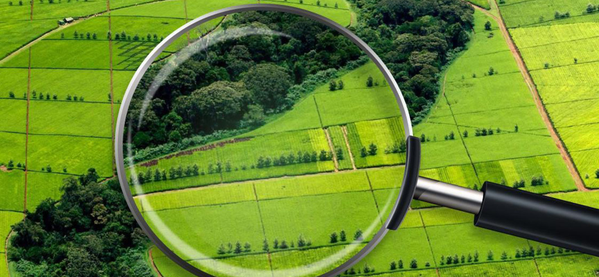 proiectul noului cod funciar