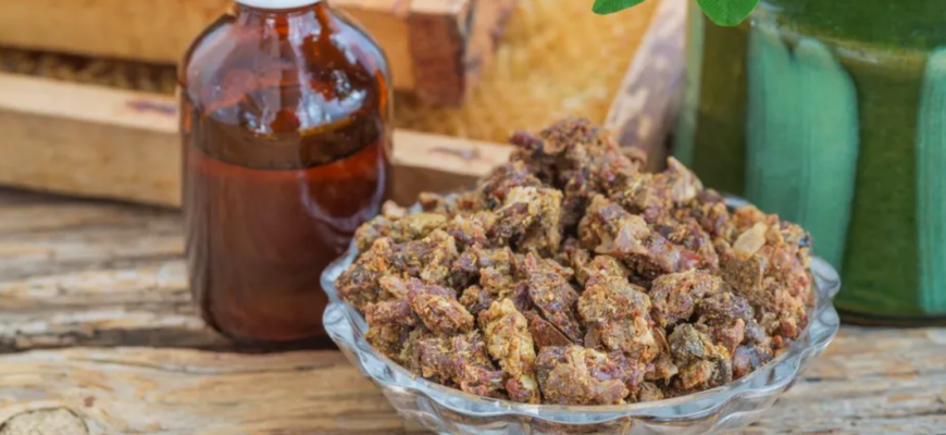 propolisul intre traditie si stiinta