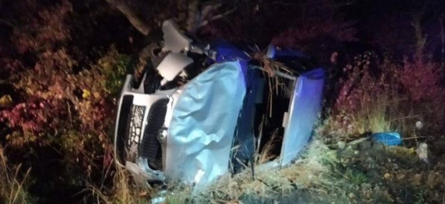 s a izbit cu masina de un copac