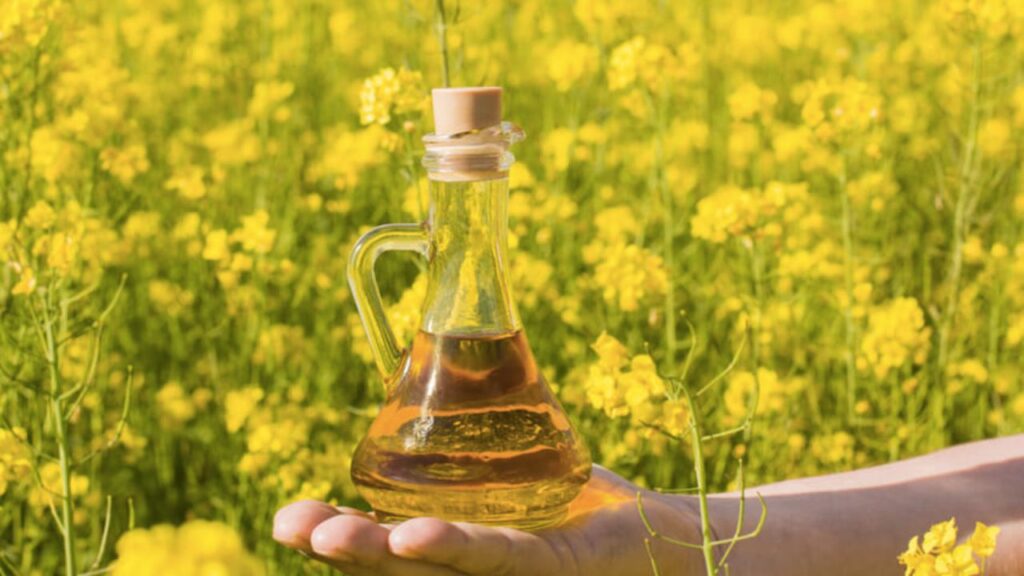 solutie pentru scaderea colesterolului