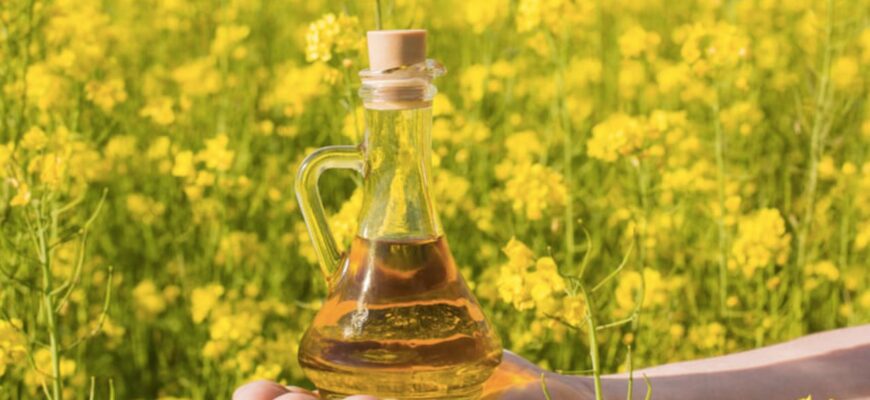 solutie pentru scaderea colesterolului