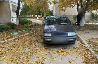 O pensionară de 72 de ani, tamponată de o mașină în timp ce aduna nuci. Medicii au luptat ore în șir pentru viața femeii