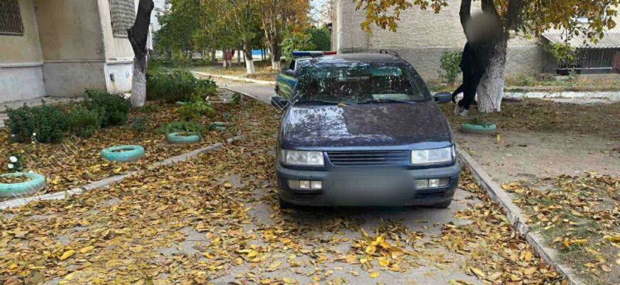 tamponata de o masina in timp ce aduna nuci