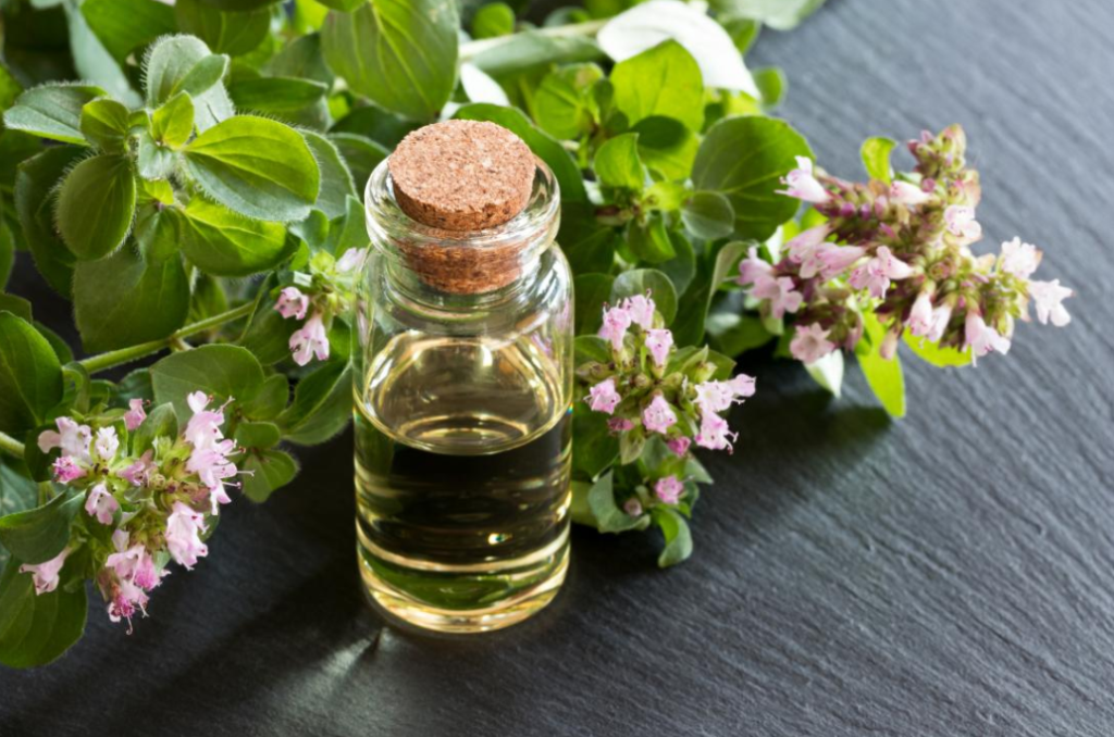 ulei esential de oregano salbatic