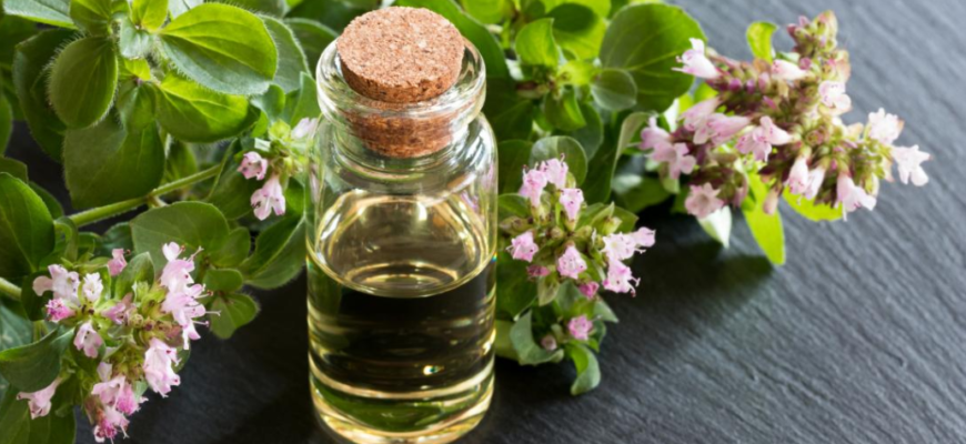 ulei esential de oregano salbatic