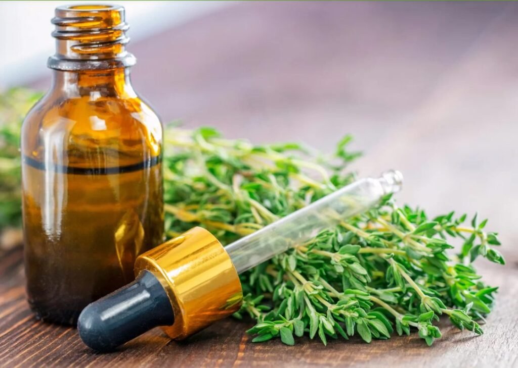 Uleiul de cimbru ucide infecțiile, crește circulația și echilibrează hormonii – cum se prepară și cum se folosește