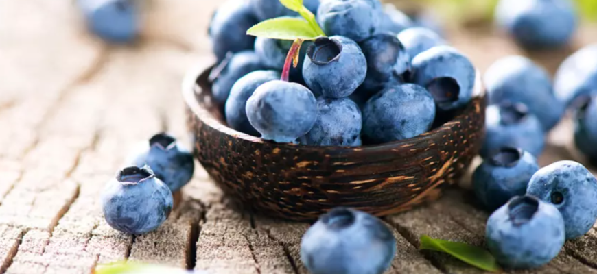 afinele ar putea fi un remediu pentru placa bacteriana de la nivelul gingiilor