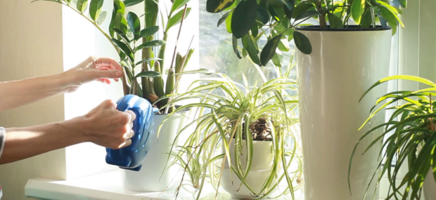 apa distilata pentru plante