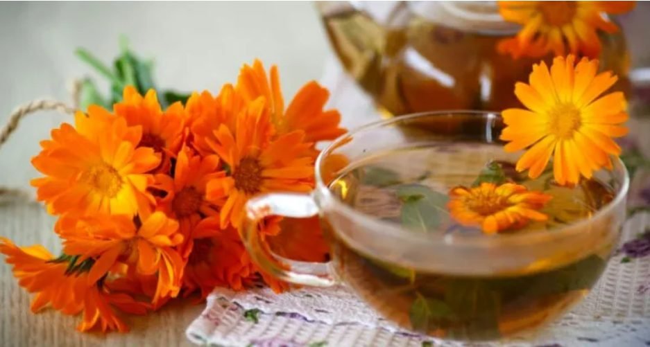 Ceaiul de gălbenele, balsam pentru organism. Care sunt proprietățile