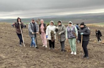 CNAS participă la programul național de extindere și reabilitare a pădurilor 2023 
