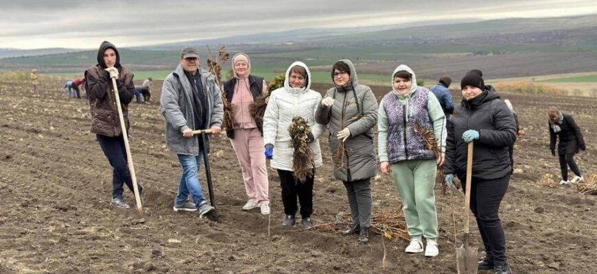 cnas participa la programul national de extindere si reabilitare a padurilor 2023