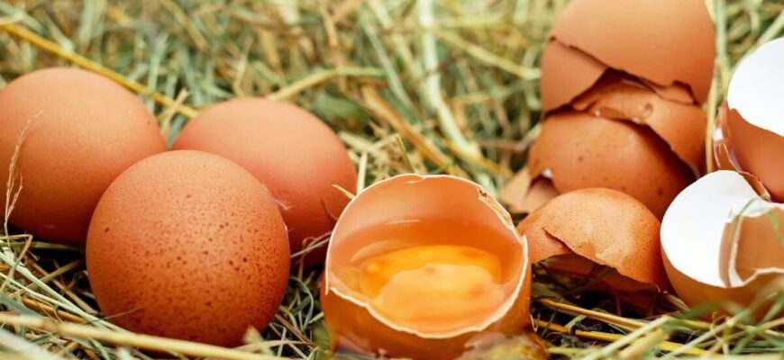 cum stii daca ouale sunt inca comestibile