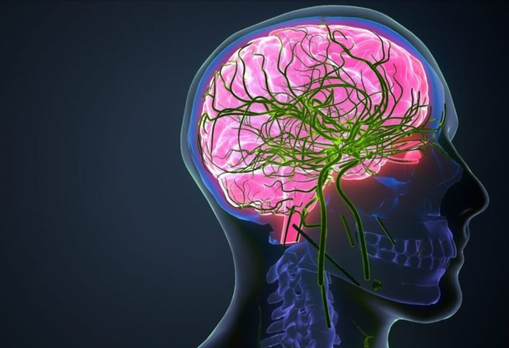 Ce se întâmplă cu creierul tău când îmbătrânești? Descoperirea neurologilor străini