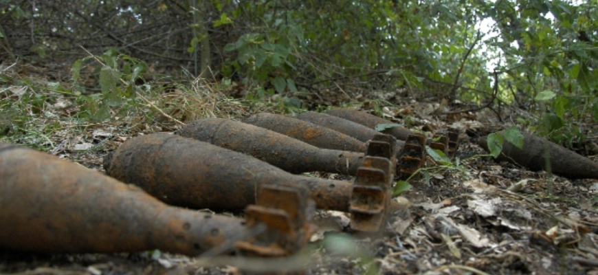 genistii armatei nationale