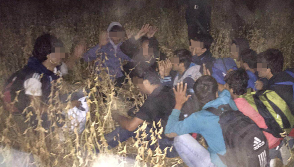 imigranti veniti ilegal