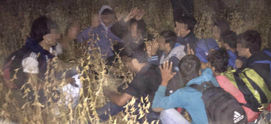 imigranti veniti ilegal