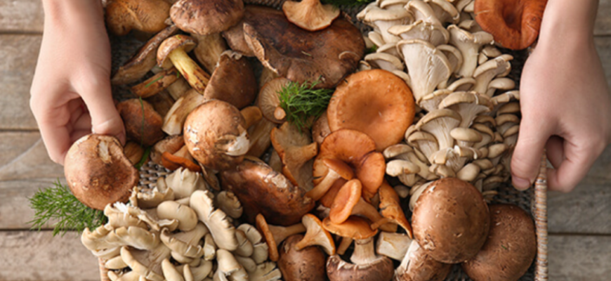 nu procurati ciuperci